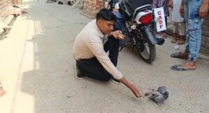 C.A.S.F. टीम ने घायल कबूतर का किया उपचार