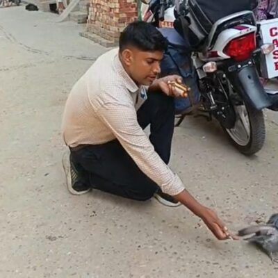 C.A.S.F. टीम ने घायल कबूतर का किया उपचार