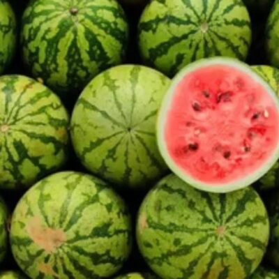आंध्र प्रदेश से तरबूज में छिपाकर ला रहे थे करोड़ों की चीज