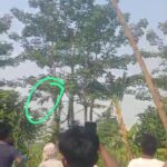तेंदुए की चहलकदमी से परेशान हुए ग्रामीण